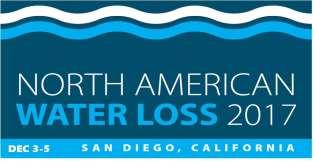 Water Loss Task Force Project Engineer