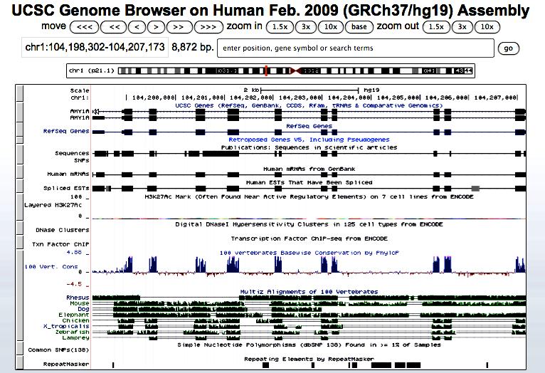 Click on Genomes tab in the menu at the top of the page.