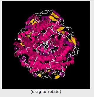 structure PDB: