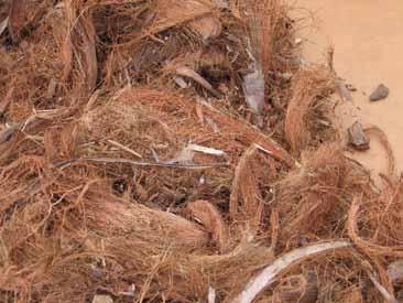 Coconut husks and fibres (unravelled) The coconut residues and fronds will normally be delivered with relatively high moisture content levels.