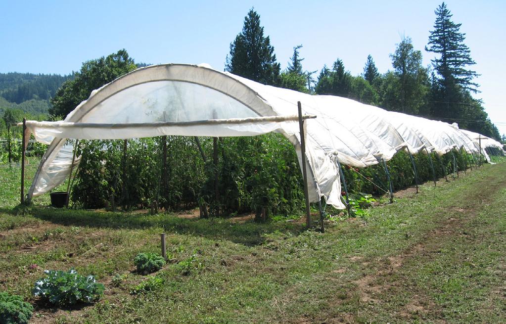 2011 Cost Estimates of Producing High-Tunnel Tomatoes in Western Washington Preface The information in this publication serves as a general guide for producing tomatoes in high tunnels in western