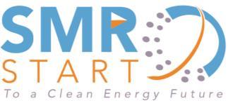 Introduction Small modular light-water reactors (SMRs) are one of the most promising new nuclear technologies to emerge in decades.