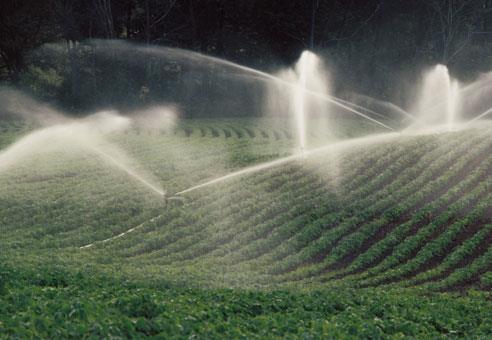 Over-abstraction increases water scarcity Agriculture accounts