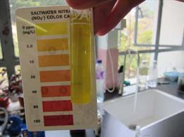 The salinity, nitrate level, phosphate level, dissolved oxygen level and ph were