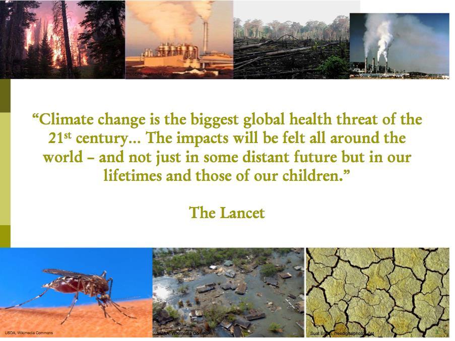 Climate change is the biggest global health threat of the 21 st century.