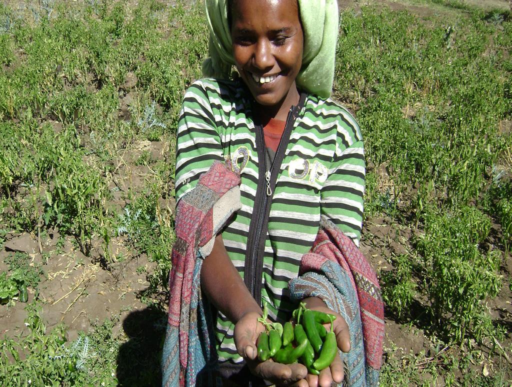 Promotion of vegetable production: Nutrition training focuses on identifying and promoting the consumption of locally-available nutritious foods that are affordable and easy to obtain or can be grown
