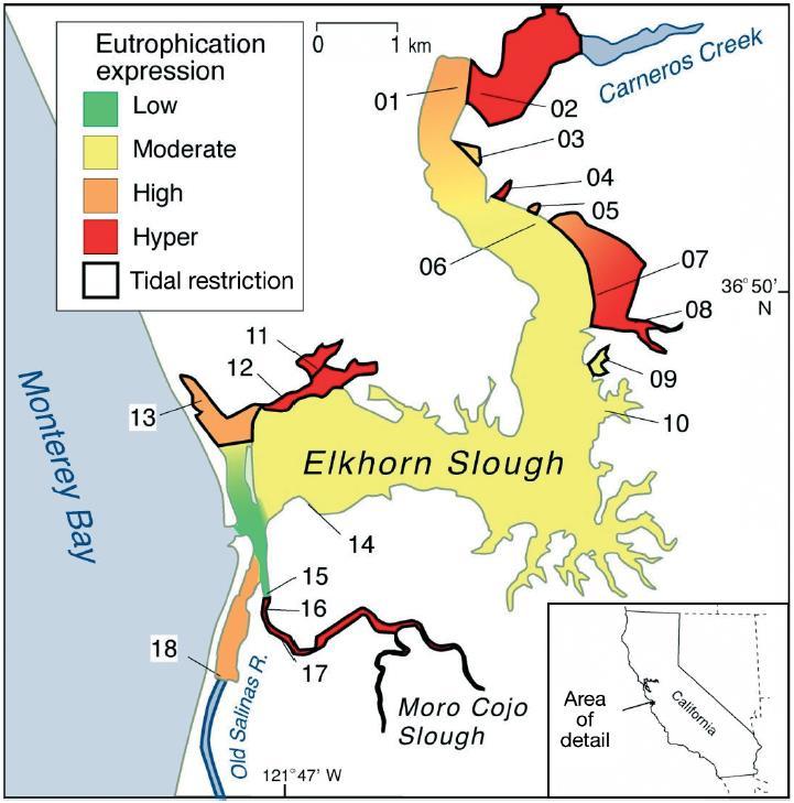 ELKHORN SLOUGH ON THE 303D LIST FOR EUTROPHICATION (BIOSTIMULATORY SUBSTANCES) Eutrophication: the accelerated delivery, in situ production, and/or accumulation of organic matter within an aquatic