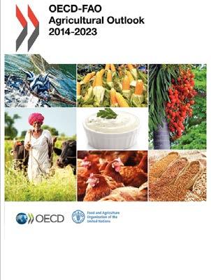 Outlook: sources and process OECD/FAO Agricultural Outlook 2015-2024 Agricultural commodity markets for the rest of the world EU Short Term