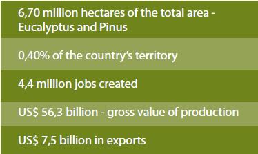 9 million hectares Pinus: 1.