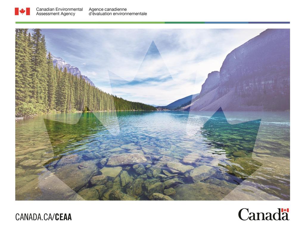 Considering Climate Change in Environmental Assessments under the Canadian Environmental Assessment Act,