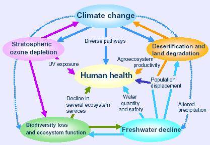 Human Health Weather and climate play a