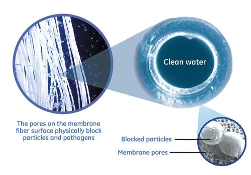 How Ultrafiltration Works Thousands of hollow fibers (about the diameter of human hair) are bundled together.
