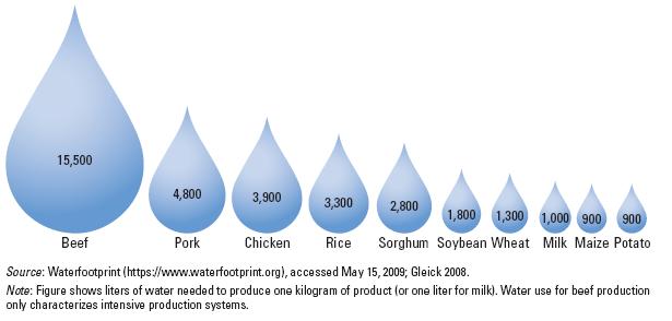 Water Use in Agriculture But in beef only 0.