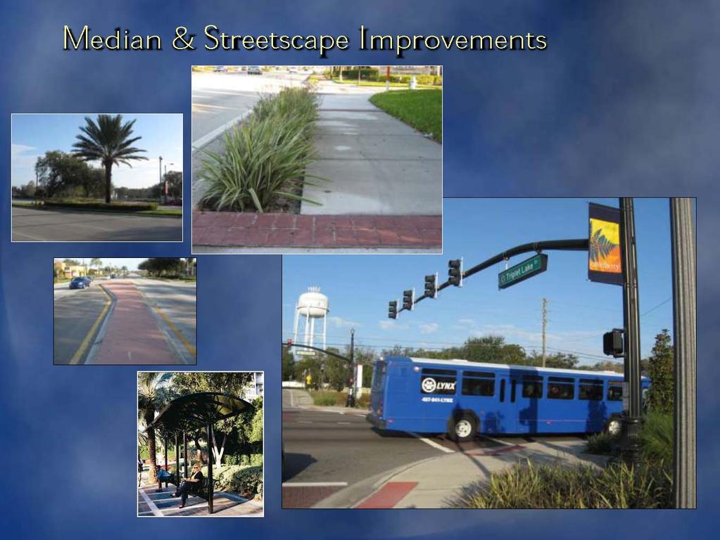 Exhibit 3-8 Examples of Median and Streetscape