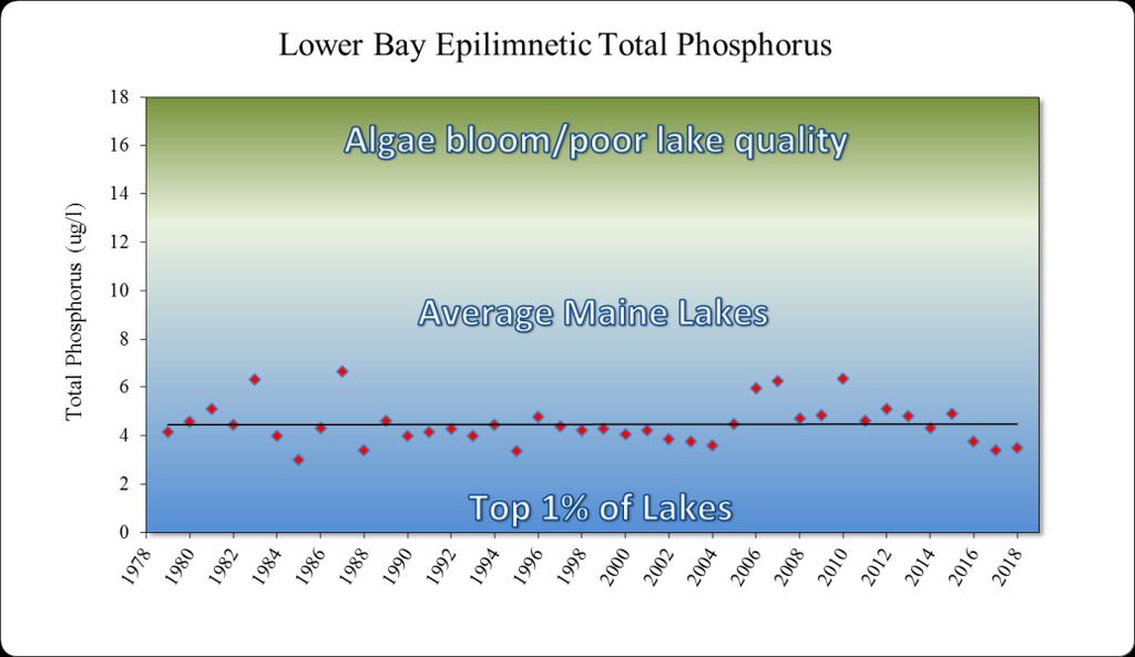 Lower Bay Chla The average chlorophyll a in Lower Bay since 1979 is 1.5 ug/l. The linear regression trend since 1979 shows no statistical change.