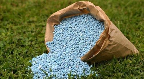 b) AGRO INPUTS (FERTILIZER) Our products are a sustainable and easy solution for the worldwide problem of food shortage.
