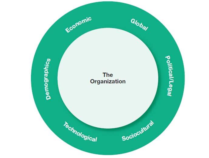 The External Environment: Constraints and Challenges External Environment those factors and forces outside the organization that affect its performance.