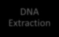 DNA/RNA recovery Quality & quantity Primers Amplification