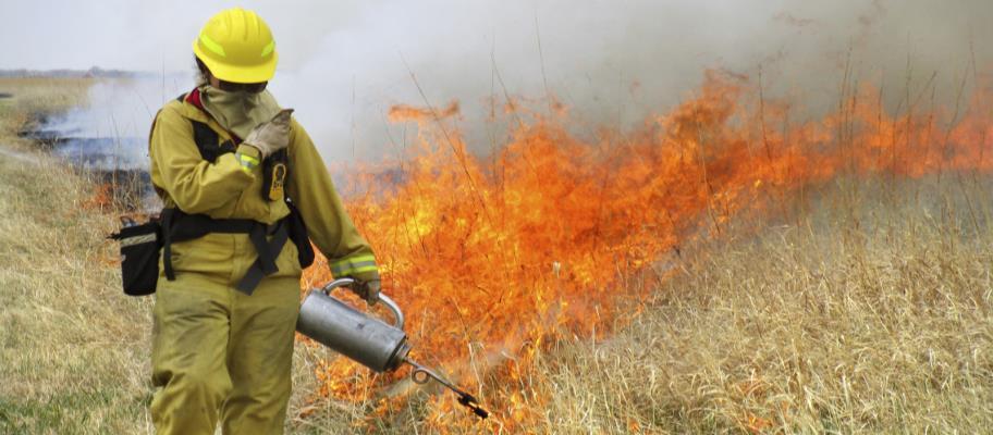 Year 6 & beynd (lng-term management phase): Burn every 3-5 years t stimulate prductivity f native prairie plants and prevent invasin f herbaceus perennial weeds and wdy trees and shrubs.