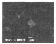 Figure 3 Differential thermal analysis of epoxy resin - PTFE composite coating Scanning electron microscopy and energy spectrum analysis The surface of the sample and the surface composition of the