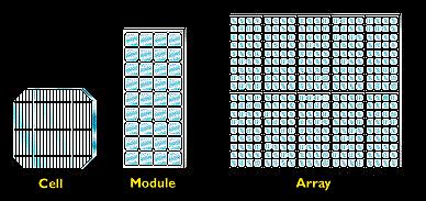 Cells, Modules, and Arrays