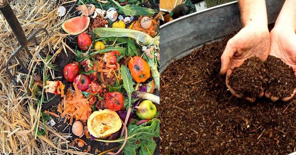 Composting https://www.