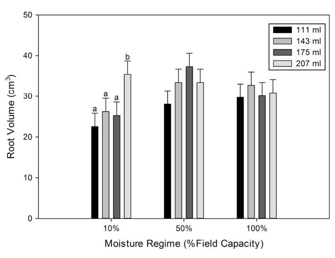 when planted Seedling morphology after nursery phase Seedling performance after simulated