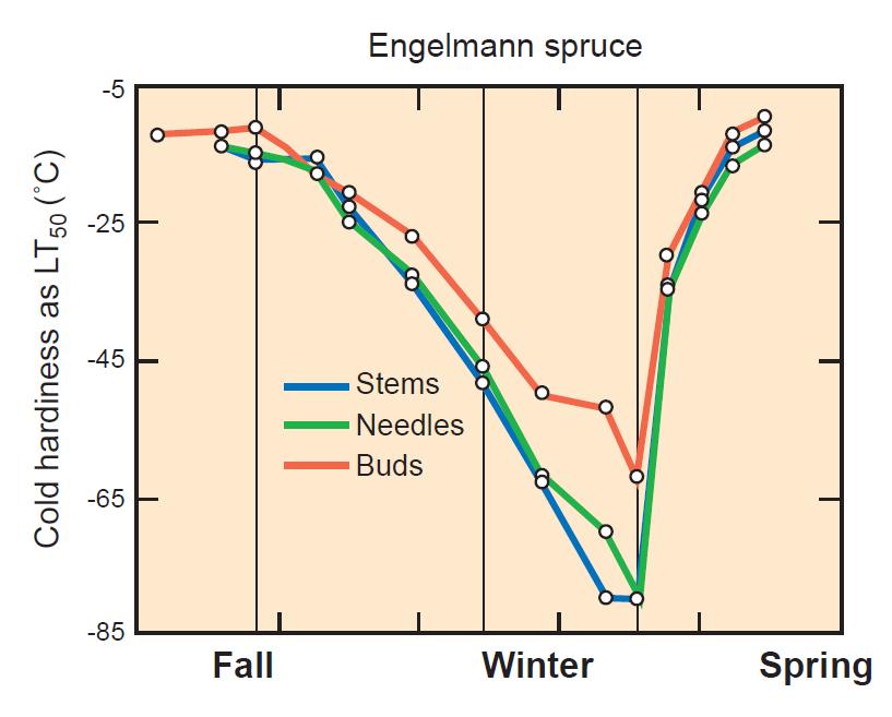 COLD HARDINESS As winter approaches, plants develop tolerance to cold and general stress resistance Cold hardiness across seasons.