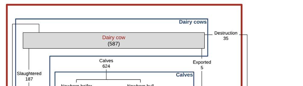 Cattle turnover, stock and related parameters: Denmark The animal turnover in the Danish milk and beef