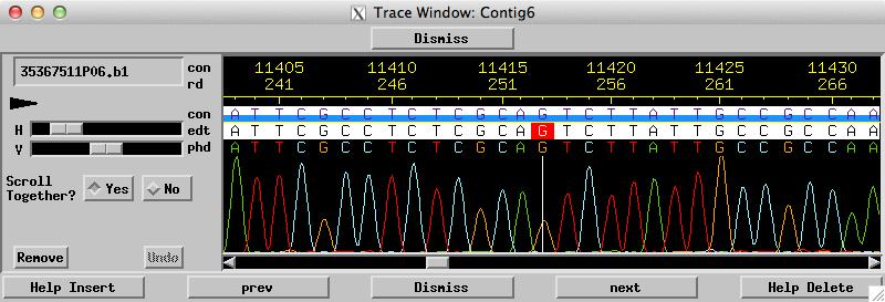 9 Figure 8: Trace Window The Trace Window displays the raw output of a sequencing reaction; the different color peaks correspond to the four nucleotides.
