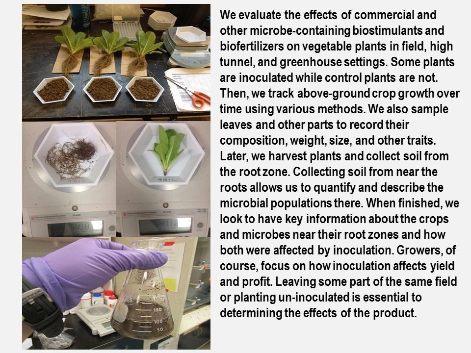 Getting the Most from Crop Biostimulants and Biofertilizers From Zheng Wang, Julie Laudick, and Matthew Kleinhenz, Department of Horticulture and Crop Science, The Ohio State University 4
