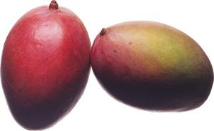 Mangoes in the Republic of Guinea: An Investment Analysis Prepared for the U.S.