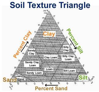 Smallest Site Factors Hand-held Soil Characteristics If soil is classified silt/silt loam or clay/clay loam, then possible low