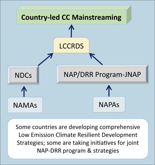 developing countries, not just the LDCs, to move from immediate and urgent adaptation projects to medium and long term adaptation planning and programming through the preparation of National