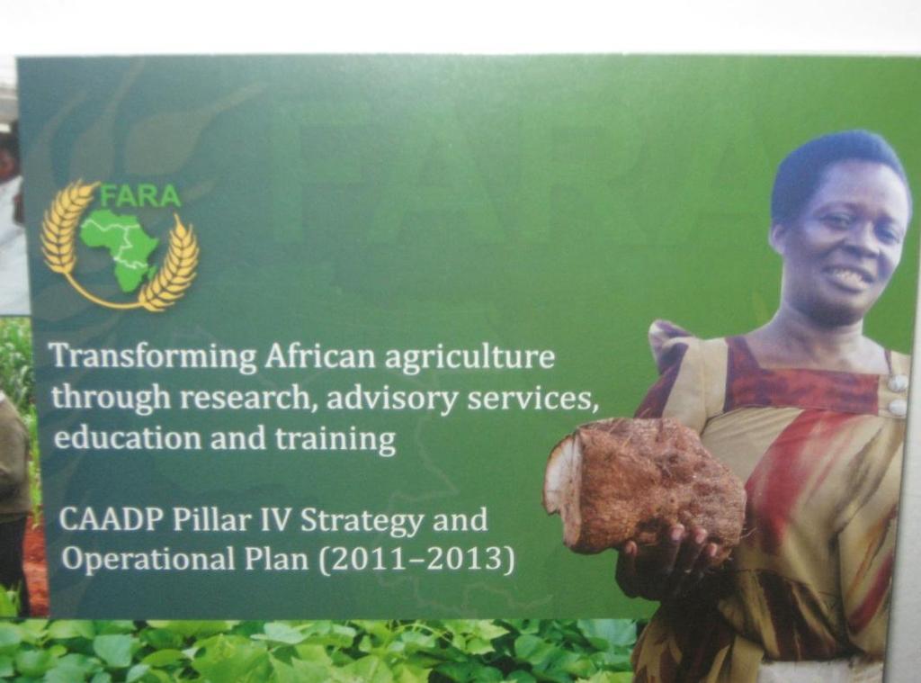 Pillar IV arrangements to support CAADP Developing ag.