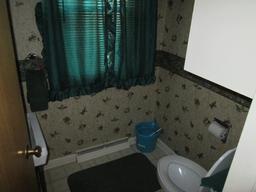 Half Bathroom Half bath location: 1st Floor hallway Sink type: Pedastal Number of sinks: One Leaks above or below sink: Not noted Hot water left faucet: Noted Bathroom outlet: Noted and GFCI Toilet: