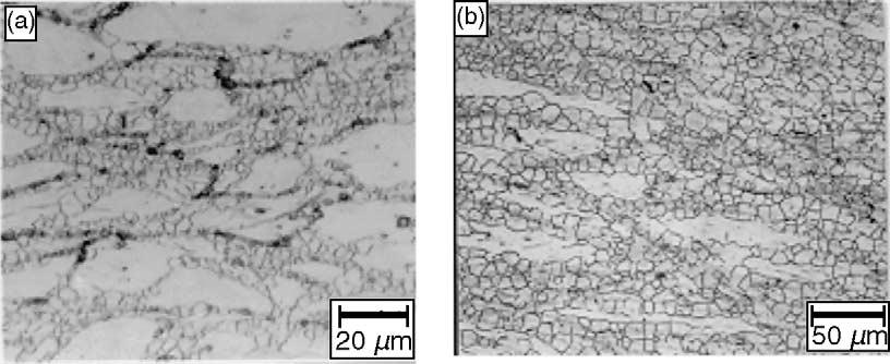 Y.-S. Na et al. / Journal of Materials Processing Technology 141 (2003) 337 342 339 Fig. 1. Dynamic recrystallization occurring near given boundary after compression tests at: (a) 954 C, 5 s 1 ; (b) 1066 C, 5 s 1.