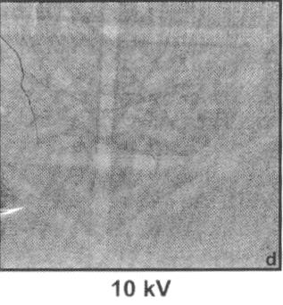 coated (5 nm Ni) sample (c) 10 kv