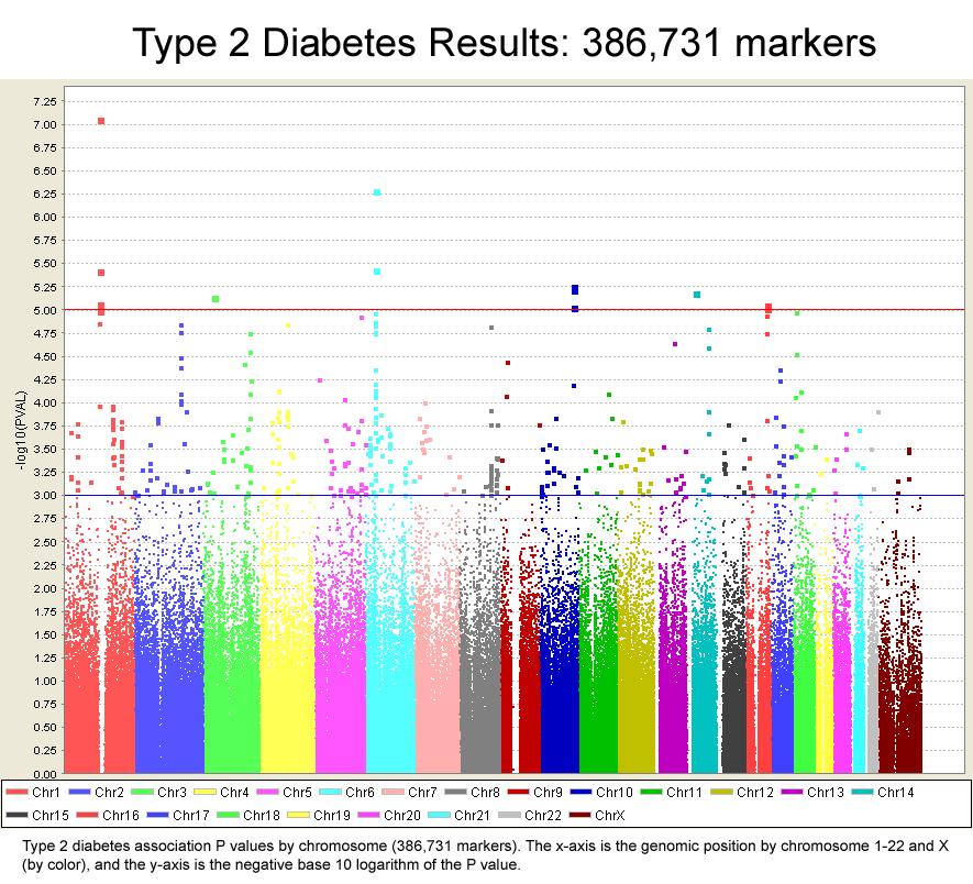 ssociation Studies Which genes are involved in diabetes?