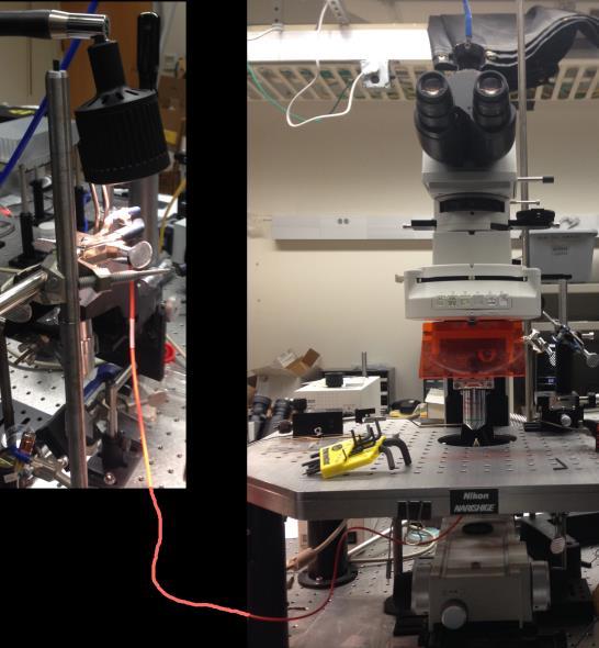 Figure B.1. Set-up for optical fiber alignment on the confocal microscope.