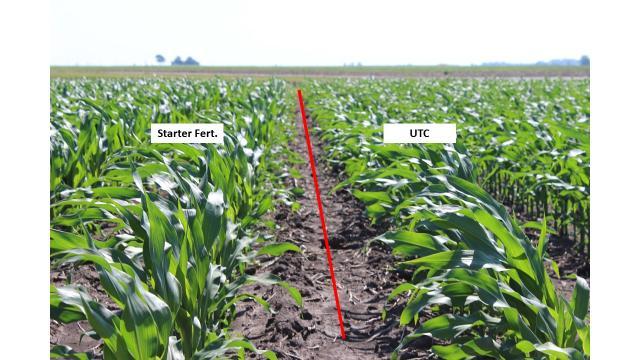 Figure 2. Corn receiving starter fertilizer may have a visual difference (left) compared to untreated check (UNT). WHAT DOES THIS MEAN FOR YOUR FARM?