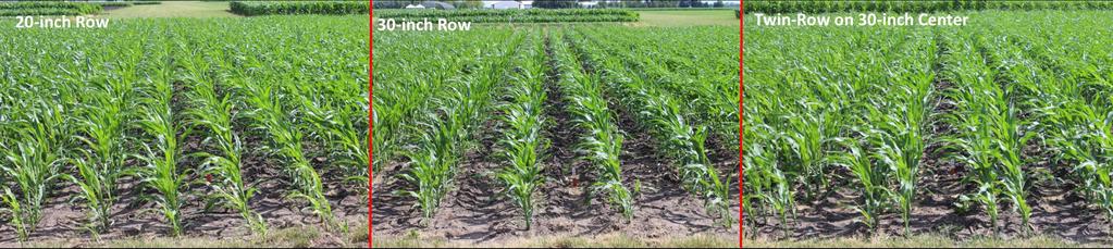 EFFECTS OF PLANTING RATE AND ROW SPACING ON CORN YIELD TRIAL OVERVIEW Optimum corn planting rates have steadily increased over time.