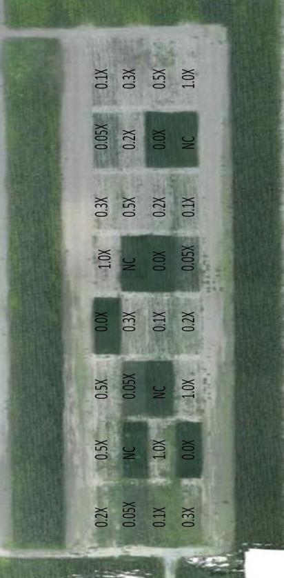 NDPVR Yield (kg/ha) Soybean Injury from Dicamba (RGB Imaging) 5000 4000 3000 2000 1000 0 0.02 0.