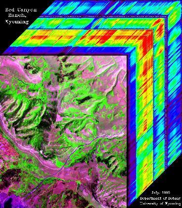 Are hyperspectral sensors required?
