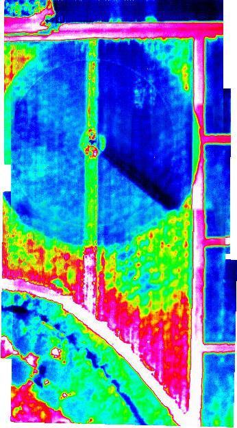 Thermal image of