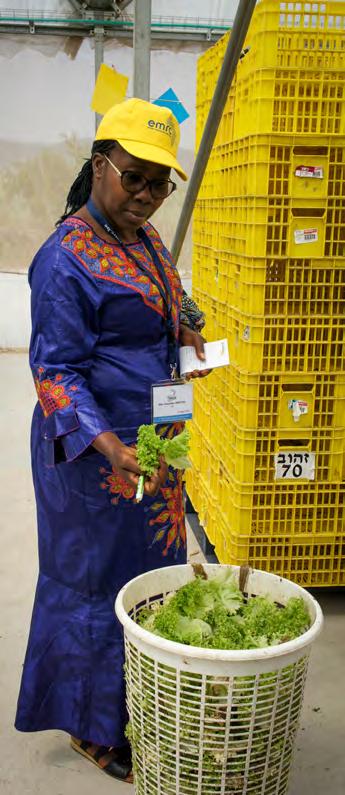 DAY I - SUNDAY 31 MARCH Registration Mashav, improved seeds, meetings Morning Official opening of the Agricultural Trade Mission Africa-Israel & CINADCO Mashav a solid partner for Africa in the area