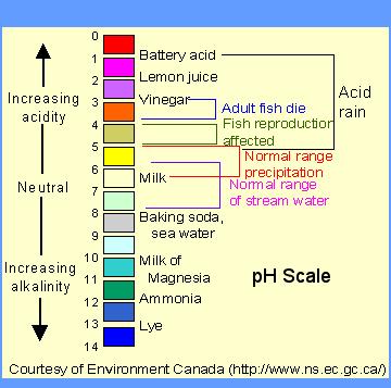 Student Data Sheet 3 Water Quality Parameters and Effect on aquatic organisms Let s look at several water quality parameters and their influence on oyster populations.