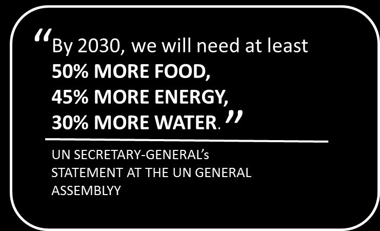 Why focus on water-energy-food scarcity