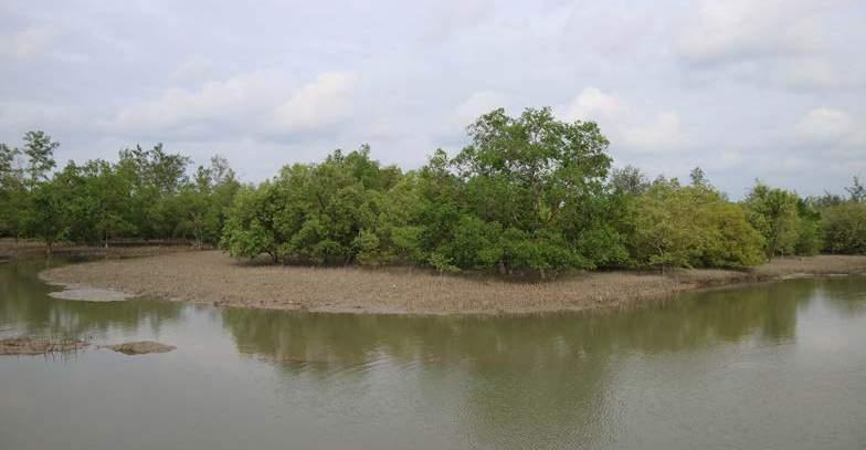 This situation has motivated ICCTF and TERANGI, a local NGO to work together to conserve mangrove park as an effort to reduce coastal ecosystem