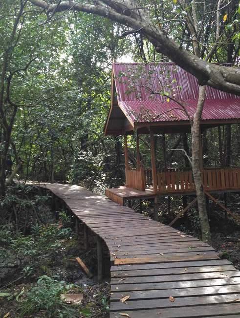 The project also develop mangrove eco-tourism that is designed and managed by local communities.